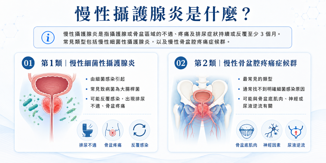慢性攝護腺炎類別示意圖